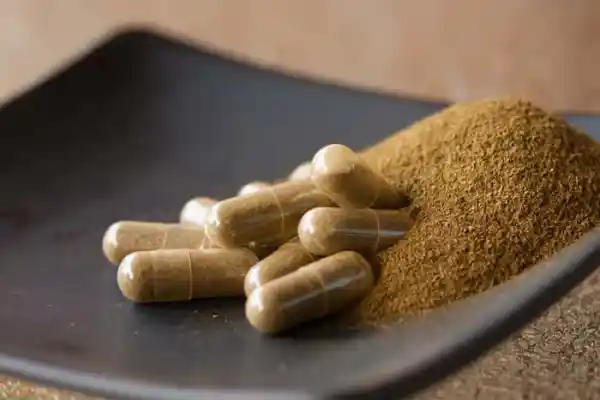 Common Myths About Iboga Explained